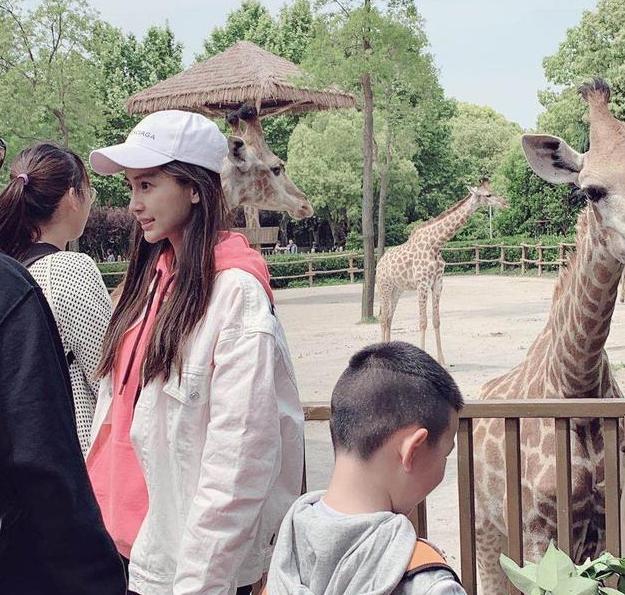 网友动物园偶遇黄晓明 Baby双手护住小海绵出游