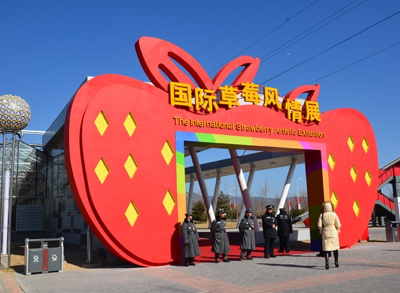 世界草莓大会