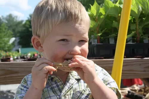 怎么看待&ldquo;肯德基鸡翅吃出数条白色活虫&rdquo;？ 